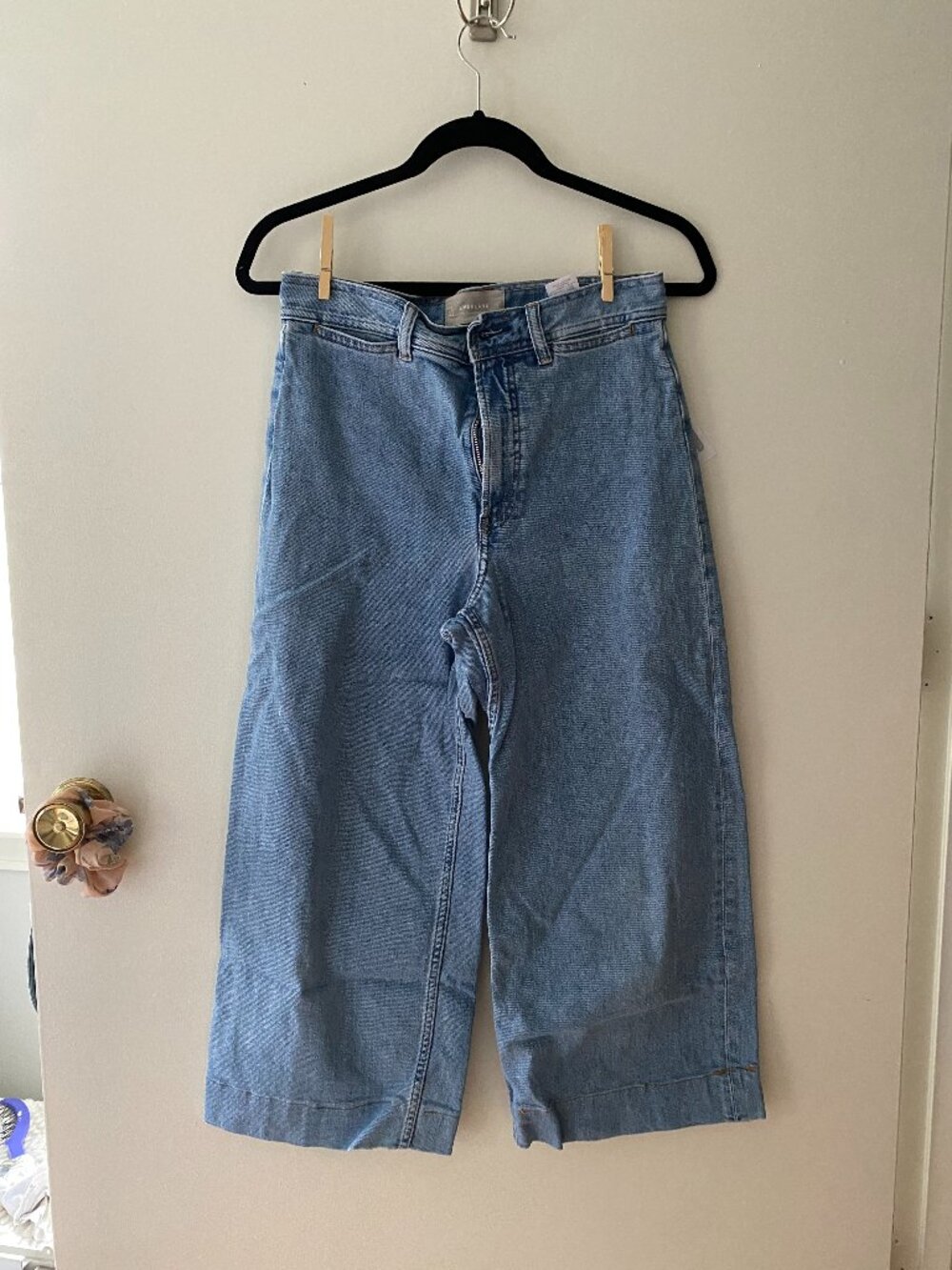 Everlane Wide-Leg Denim Pants